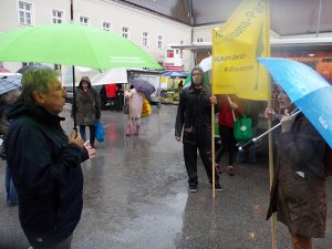 Demonstration im Regen für den Altoona-Park